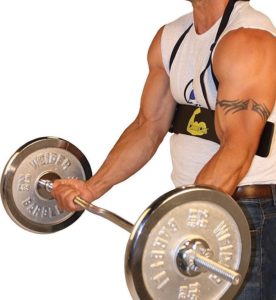 how to have perfect form on your biceps curls