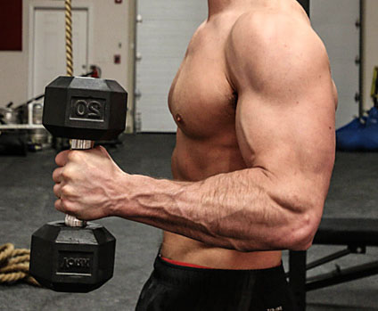 hammer curls for bigger biceps