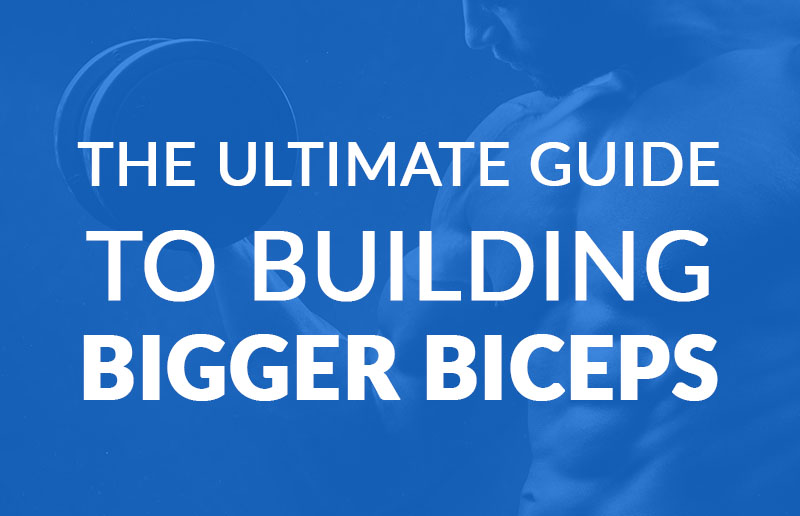 The Ultimate Guide To Guilding Bigger Biceps