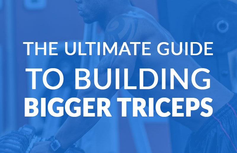 The Ultimate Guide To Building Bigger Triceps